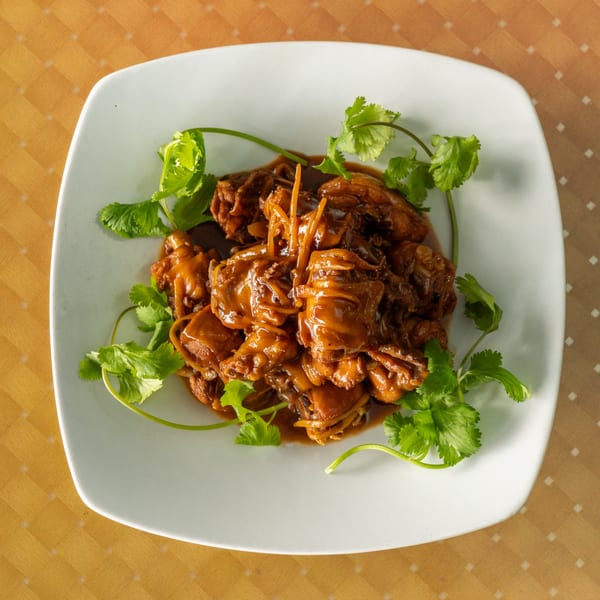 Braised chicken in a rich brown sauce, garnished with fresh cilantro on a white plate.